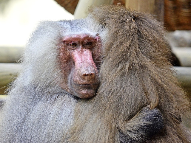 Un gest banal care poate face minuni