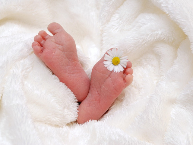 Cea mai timpurie nastere