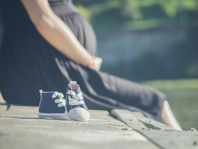 Cea mai lunga sarcina