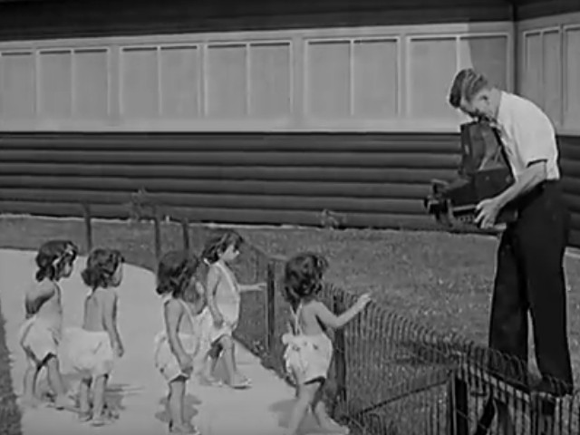 Cei mai multi supravietutori ai unei sarcini multiple