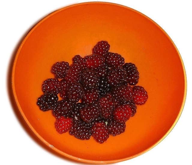 Portocaliul, culoarea apetitului echilibrat