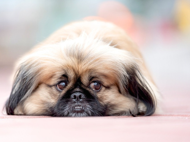 Imposibil sa nu te topesti!