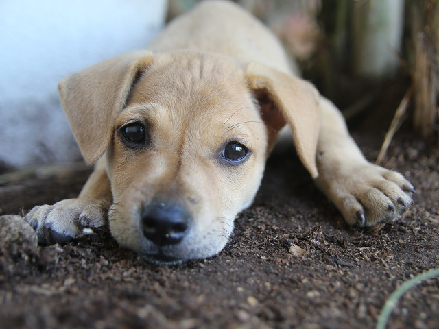 O privire valoreaza mai mult decat o mie de cuvinte!