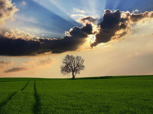 Dieta cu apa si lumina soarelui