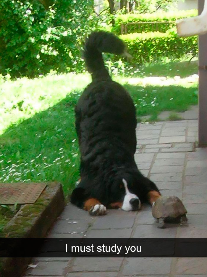 "Trebuie sa ne imprietenim"