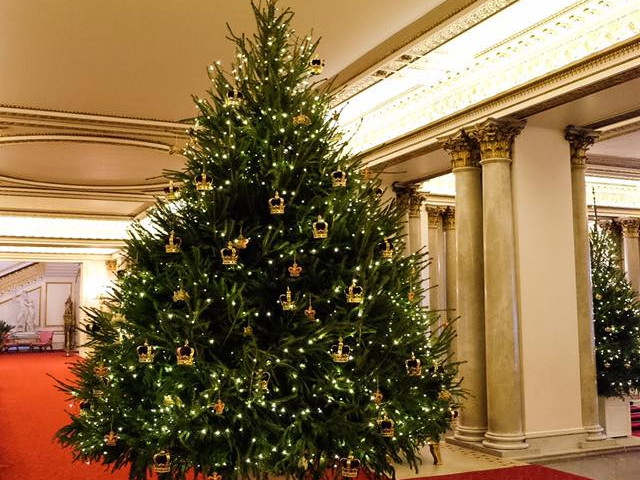 Familia Regala are 2 brazi de Craciun