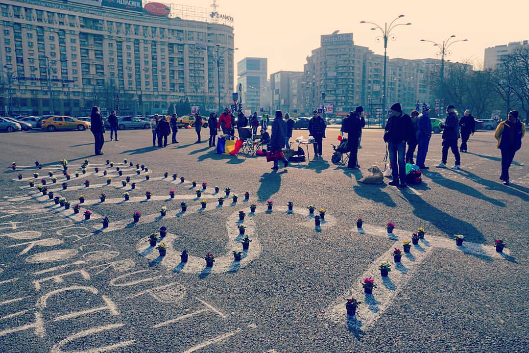 Protestul din 17 februarie