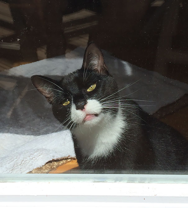 Destul de bulversata