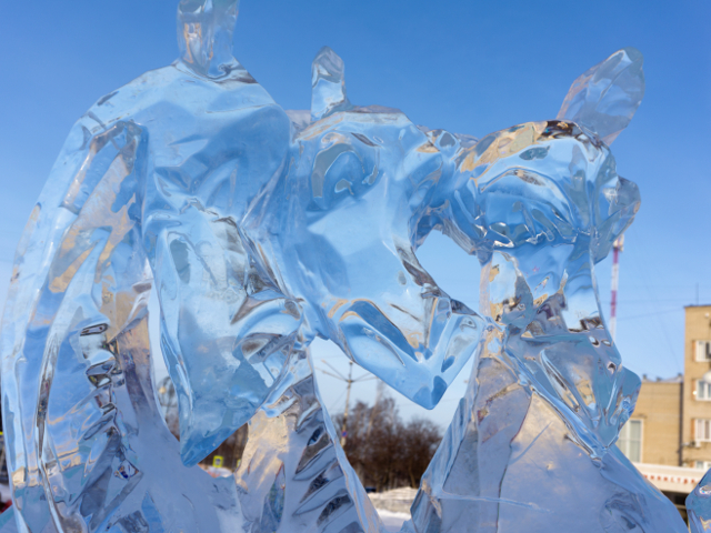 Iscusinta omului, de neintrecut