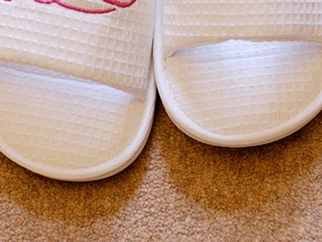 Papucii: da