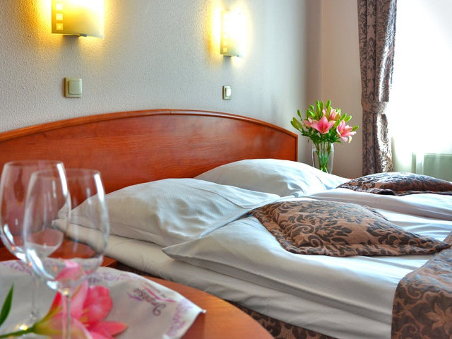 Tacamuri, pahare sau cani: nu