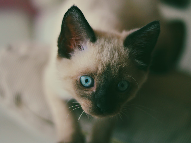 ... nici nu te poti supara pe ea