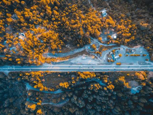 Los Gatos, California