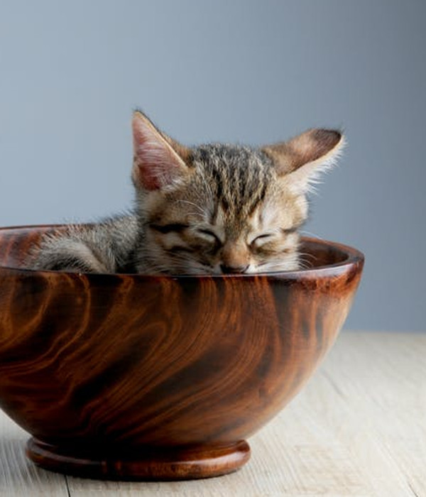 Cand esti obosita poti adormi oriunde