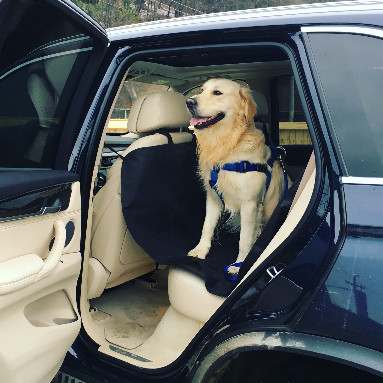 BMW X5 - familia redescopera confortul