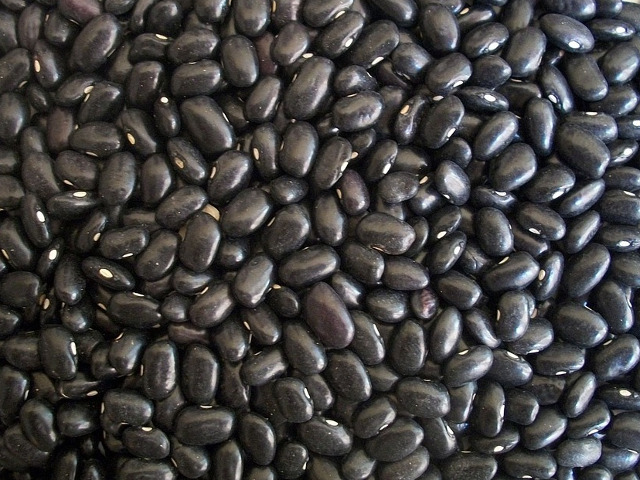 Fasole neagra