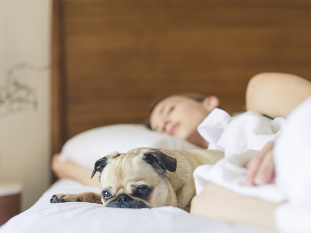 Vise care te fac sa te trezesti foarte devreme