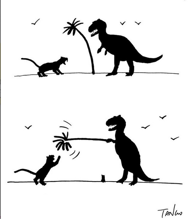 Pisicile... tot pisici