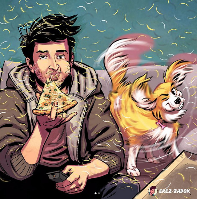 "Condimentul" din fiecare mancare: parul de caine