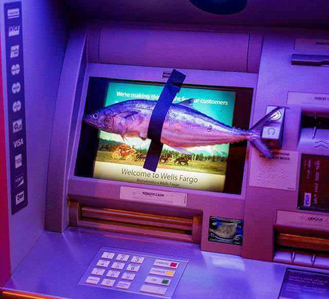 10+ imagini care te vor convinge ca oamenii sunt mai imprevizibili decat ai fi crezut