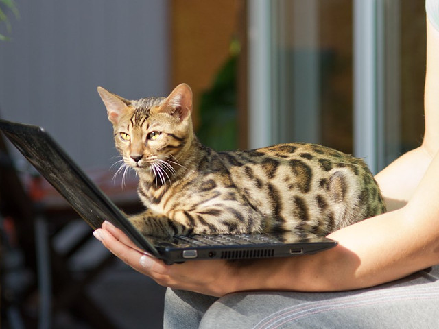 Deseori se asaza in cele mai nepotrivite locuri