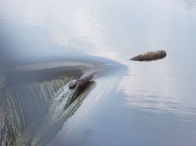 "Pentru a-ti focaliza atentia, actiunile si sentimentele tale reclama autodisciplina si autocontrol" (Herbert Harris)