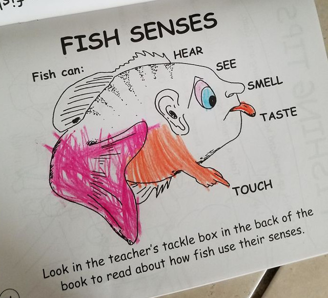 Peste desenat intr-o carte pentru copii