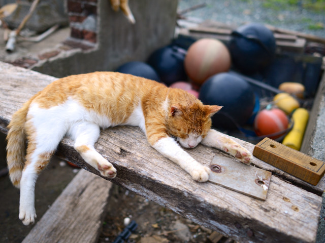 Relaxare desavarsita