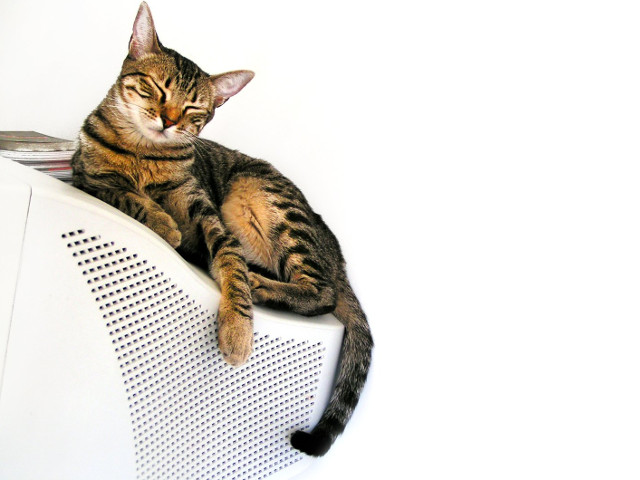 Atunci cand esti obosit poti dormi oriunde...