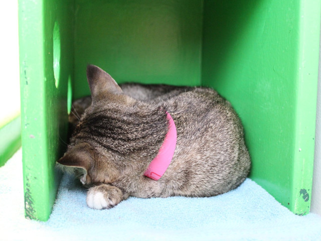 ... sau in cel mai stramt loc