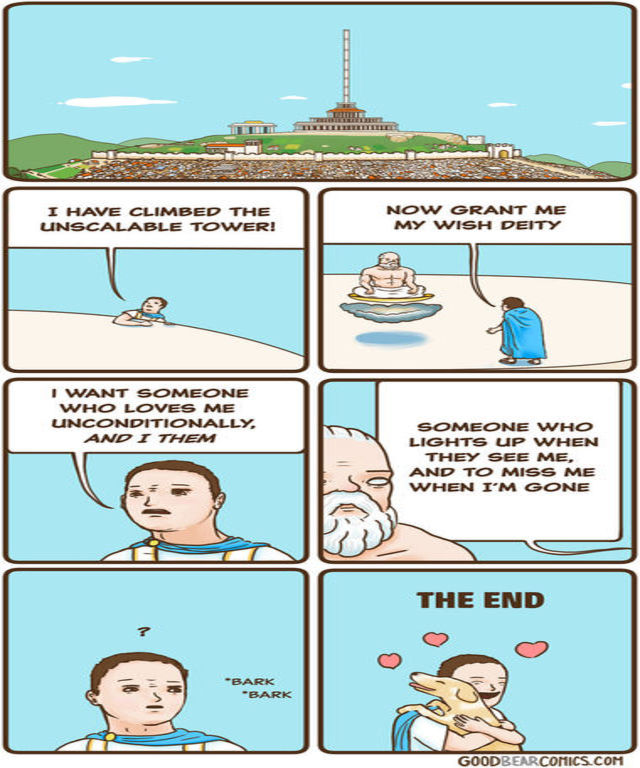 Ilustratii pentru persoanele cu un simt al umorului aparte