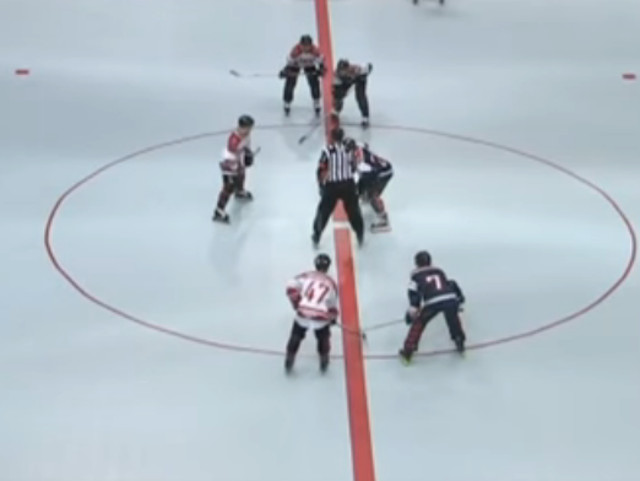 Roller hockey - hockey in sala