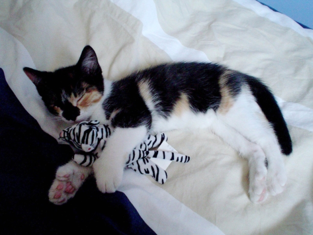 ... chiar si cand dorm!