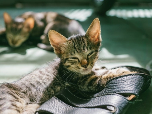 Nu conteaza ca nu ii apartine...