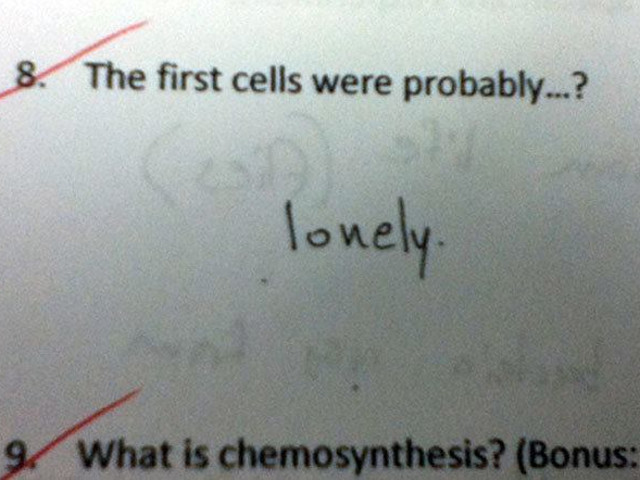 Primele celule erau probabil... Raspuns: singure