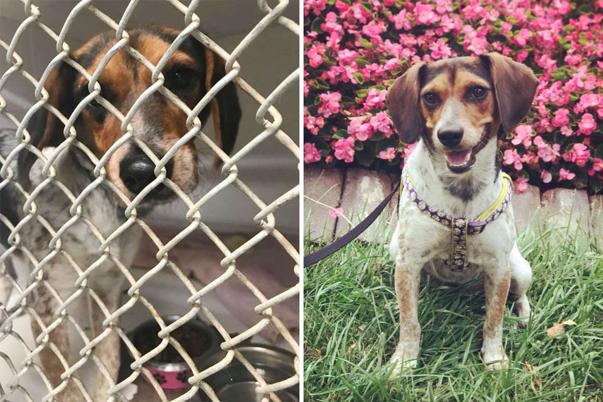 De la o cusca neprietenoasa la o familie iubitoare