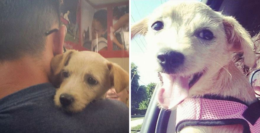 In ziua adoptiei si la o saptamana dupa ce a ajuns in noua familie