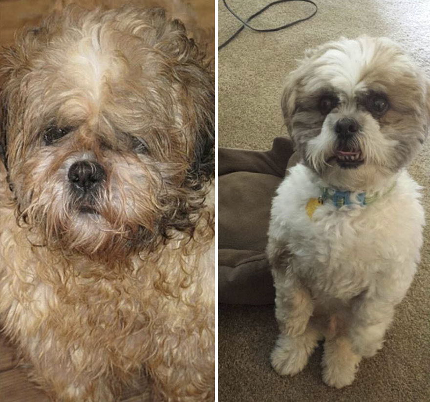 Inainte si dupa adoptie