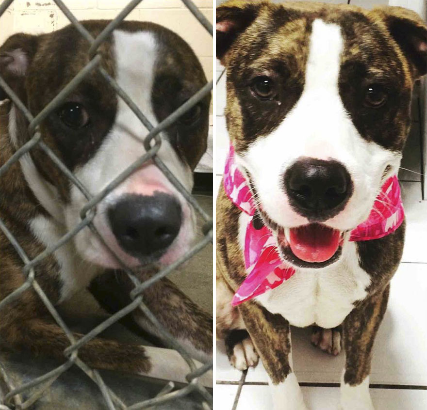 Inainte si dupa adoptie