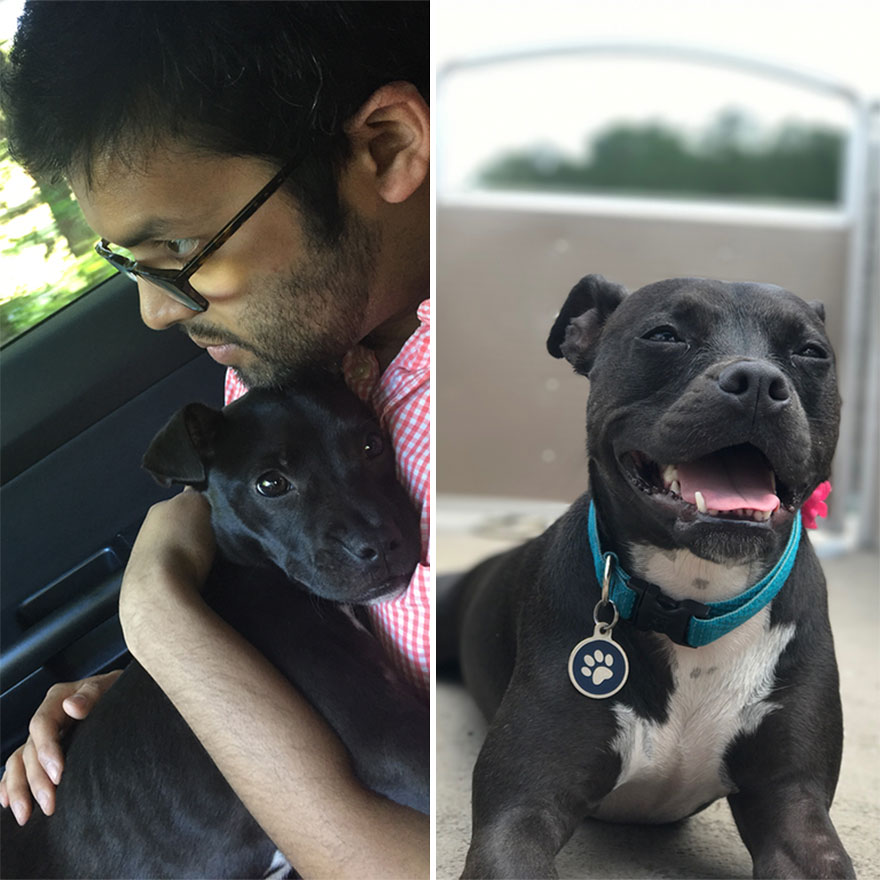 Inainte si dupa adoptie