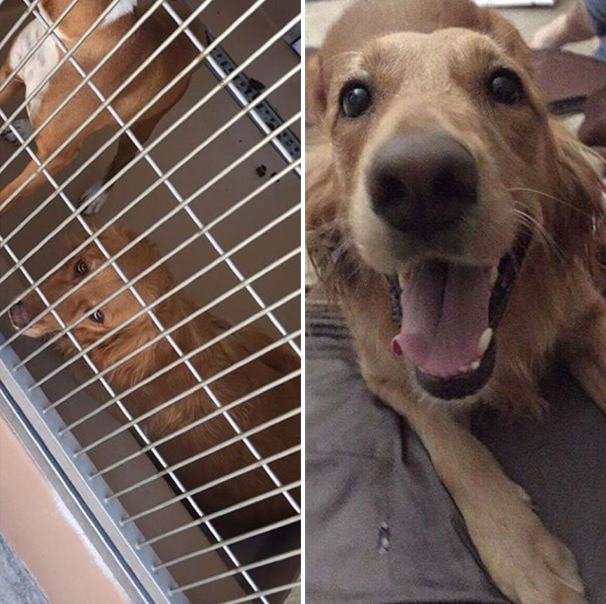 Inainte si dupa adoptie