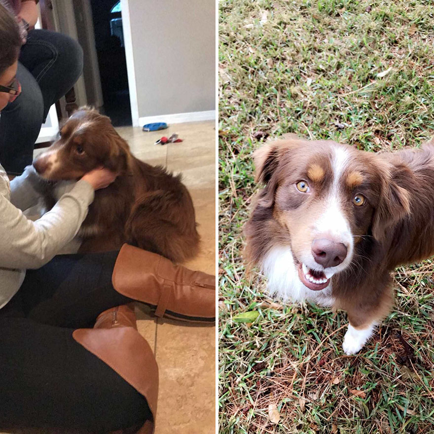 Inainte si dupa adoptie