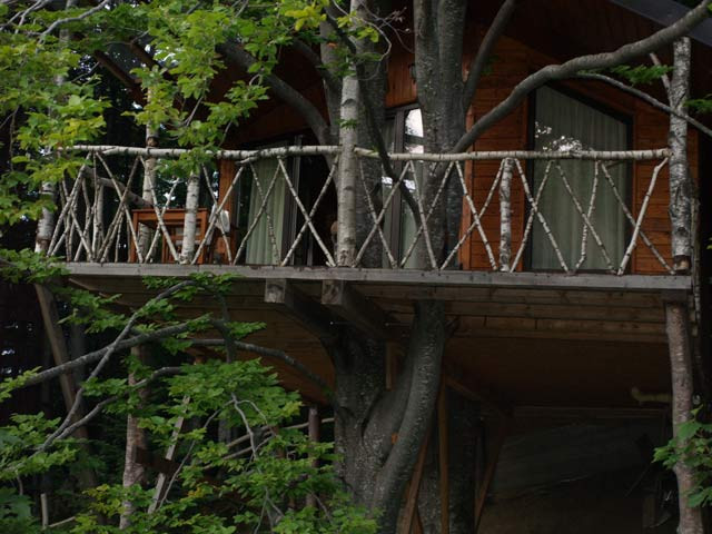 Casuta din copac, Predeal