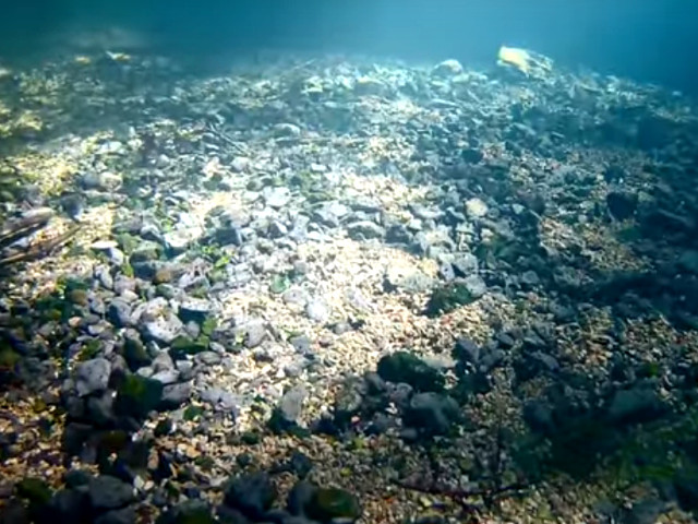 Lacul Ochiul Beiului, Caras-Severin