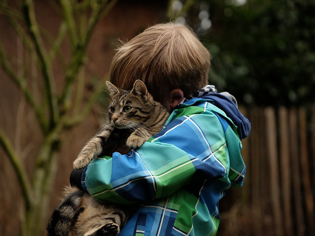 Mai multa responsabilitate