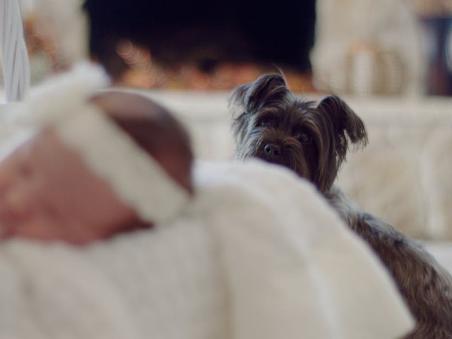 Bebelusii care traiesc alaturi de caini se imbolnavesc mai rar