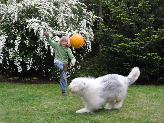 Fac mai multa miscare