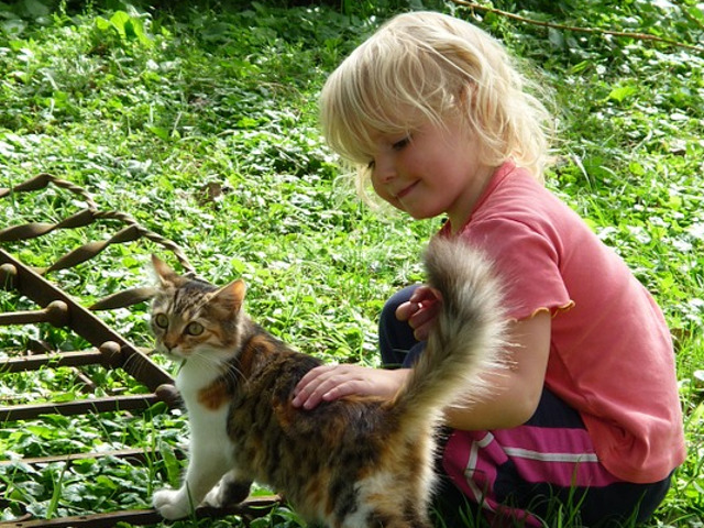 Animalele de companie ii scapa de anxietate