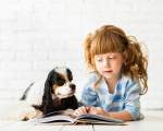 Copiii invata sa citeasca mai repede