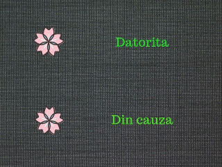 "Datorita" vs. "Din cauza"